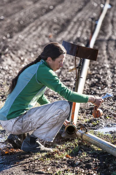 Woman setting irragation sprinklers. 图库图片