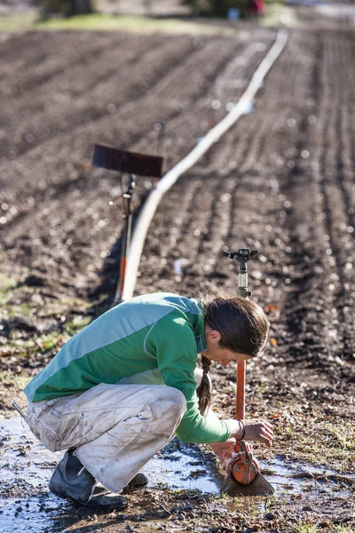 Woman setting irragation sprinklers. 免版税图库图片