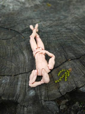 Model Tim doğada bir yaz günü dinleniyor.