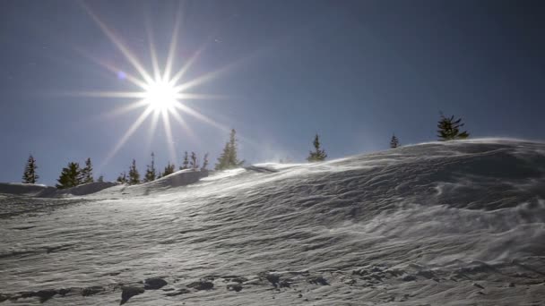 Vinterlandskap. Kall dag med snö lyser i solen. — Stockvideo