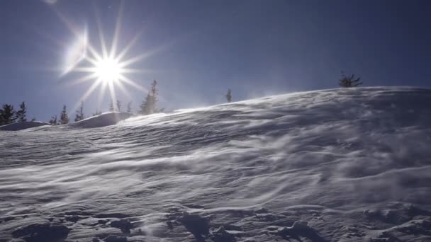 Paisaje invernal. Día frío, con nieve brillando al sol . — Vídeos de Stock