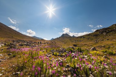 Karadeniz Bölgesi, Türkiye'de Kaçkar Dağlarının Plato