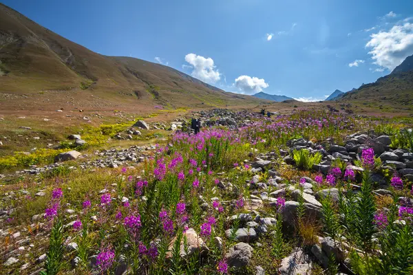 Plateau on Kackar Mountains in the Black Sea Region, Turkey — Stock Photo, Image