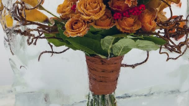 Bevroren bloemen. Creatieve abstracte heldere bloemen en ijs met luchtbellen. — Stockvideo