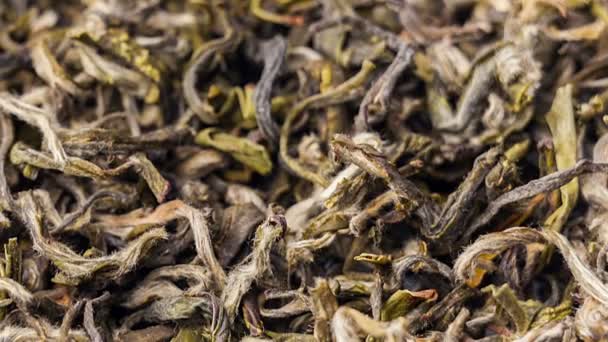 Green tea leaves close up — Stock Video