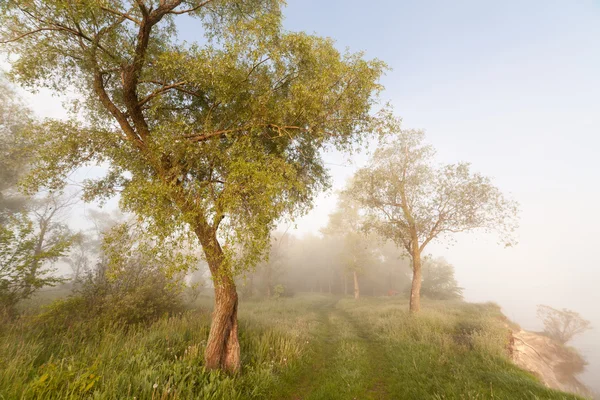 Le rivage printanier d'un lac Foggy Mountain au lever du soleil — Photo