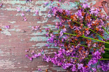 Ahşap arka plandaki güzel leylak