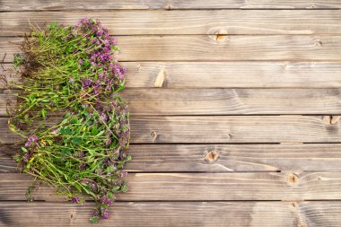 Çiçekli bahar sınır arka plan