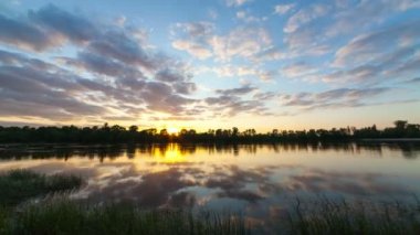 bulutlar bir bataklık bitki ve ağaç üzerinde. Hızlandırılmış bir günbatımı parlak bulutlar ile