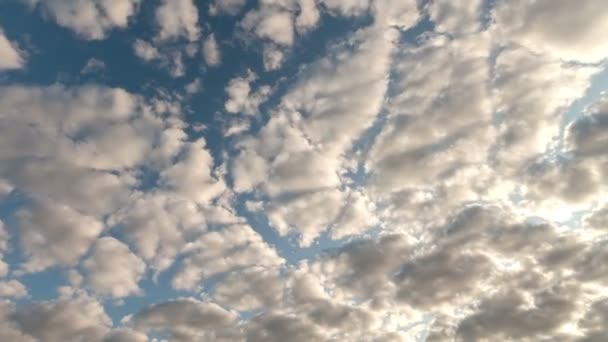 白い雲が青空で実行しています。 — ストック動画