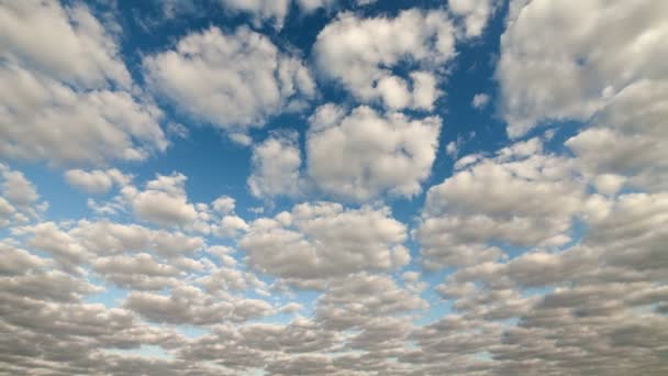 Awan putih berjalan di atas langit biru — Stok Video