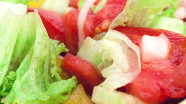 Тарелка со свежим овощным салатом — стоковое видео
