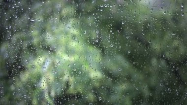 Görüntü üzerinde bir pencere düşen yağmur damla kadar kapatın.