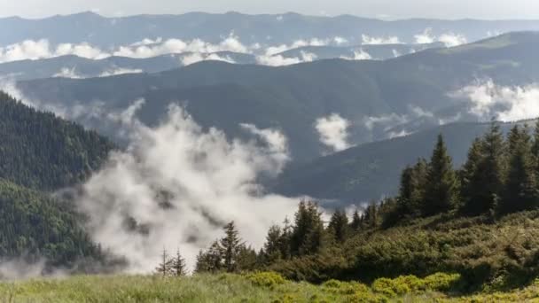 Vista panorámica de los bosques montañosos cubiertos por niebla — Vídeos de Stock