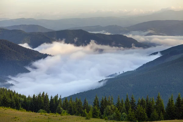 Vista panoramica delle foreste montane coperte dalla nebbia — Foto Stock