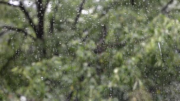 Gotas de lluvia cayendo sobre una ventana . — Vídeo de stock