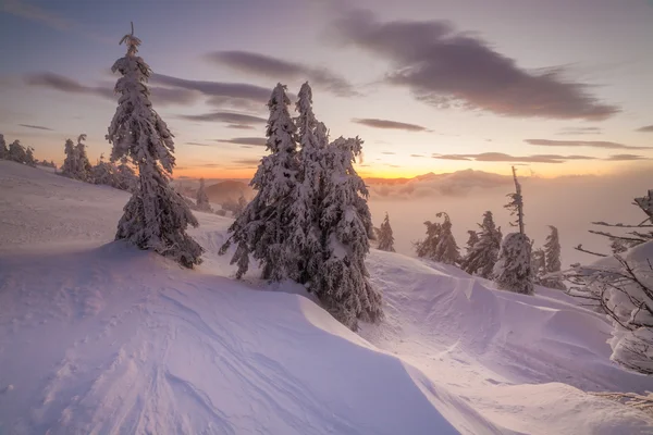 Paysage hivernal fantastique. Ciel couvert dramatique . — Photo