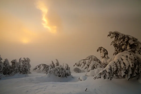 Зимний пейзаж. Драматическое облачное небо . — стоковое фото
