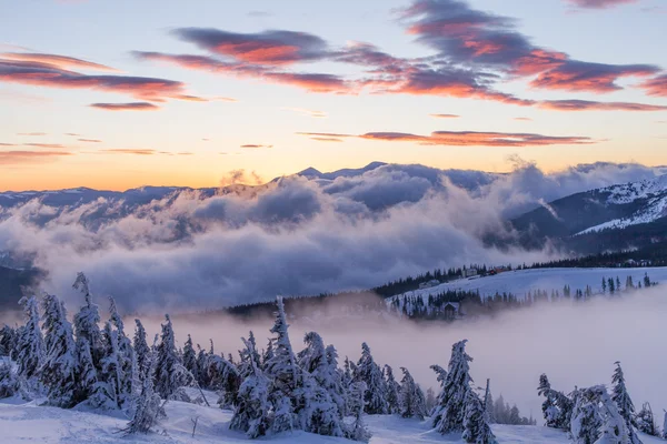 Paysage hivernal fantastique. Ciel couvert dramatique . — Photo