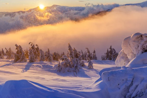 Fantastiskt vinterlandskap. Dramatisk mulen himmel. — Stockfoto