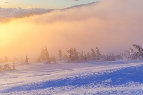 Vackert vinterlandskap i fjällen. Soluppgång. — Stockfoto