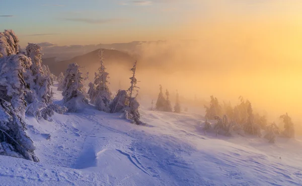 Beautiful winter landscape in the mountains. Sunrise. — Stock Photo, Image