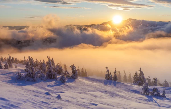 Beau paysage hivernal dans les montagnes. Lever de soleil. — Photo