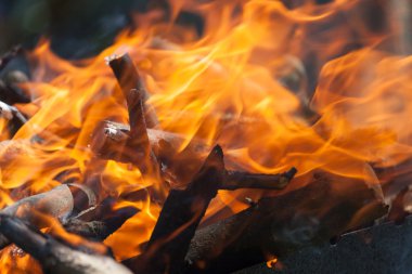 Ormanda şenlik ateşi