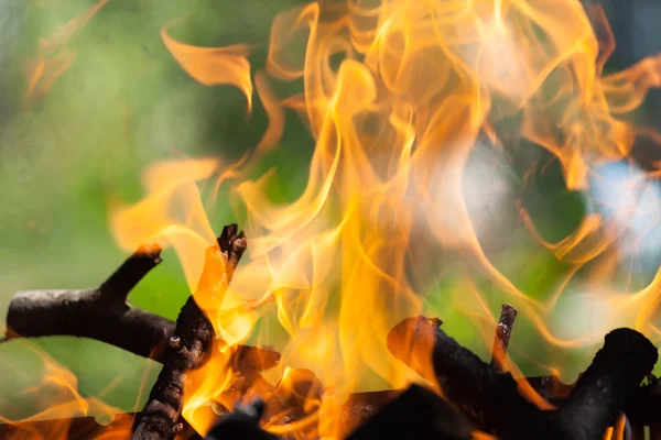 Bonfire in the forest — Stock Photo, Image