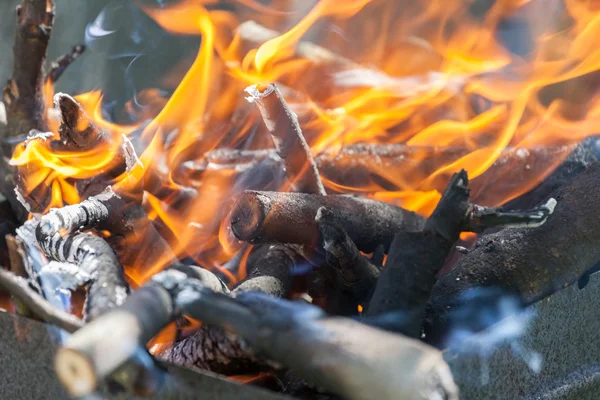 Ormanda şenlik ateşi