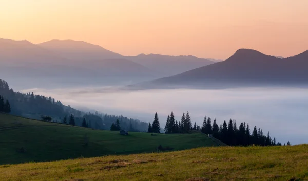 Foggy Lever de soleil matin dans les montagnes — Photo