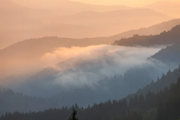 Ködös Sunrise reggel a hegyekben — Stock Fotó