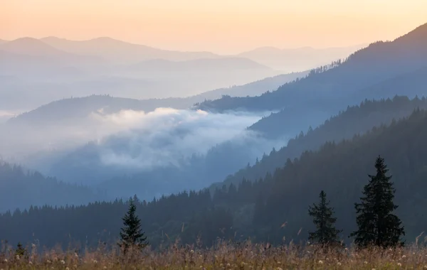 Foggy Sunrise morning in the mountains — Stock Photo, Image