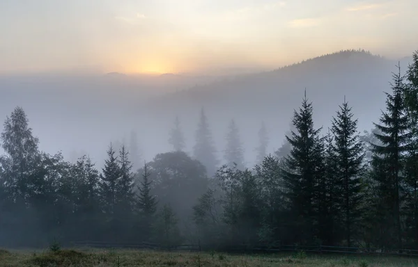 Verbazingwekkende landschap van idyllische landschap met glooiende heuvels gesluierd in de ochtend mist. Luchtfoto van een heuveltop boerderij op een mistige lentemorgen — Stockfoto