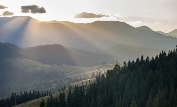 In summer mountains — Stock Photo, Image