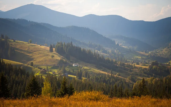 In summer mountains — Stock Photo, Image