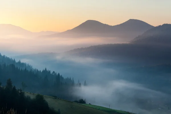 In de zomer bergen — Stockfoto