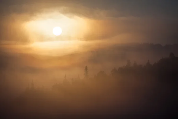 Fog over mountain range in sunrise light. — Stock Photo, Image