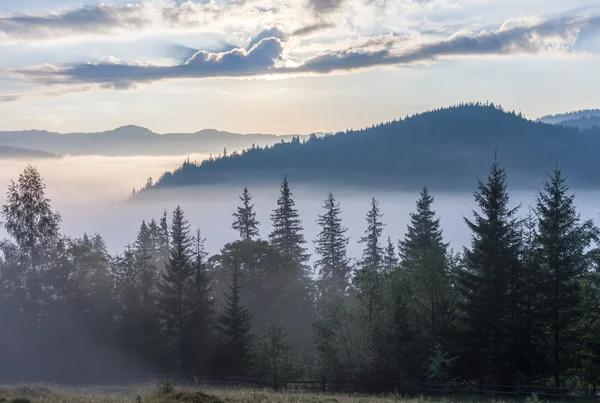 Niebla sobre cordillera a la luz del amanecer . — Foto de Stock