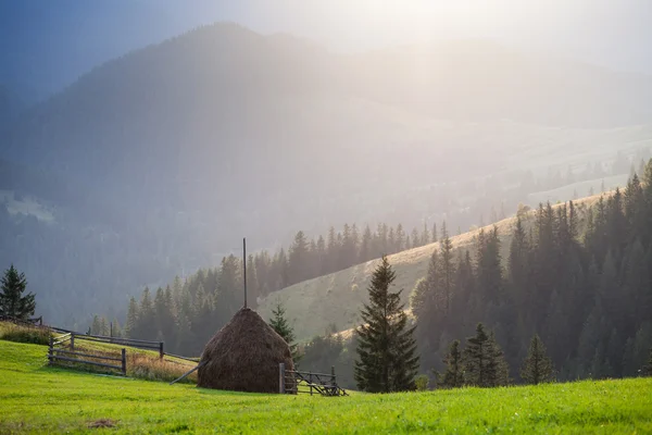 In montagna d'estate — Foto Stock