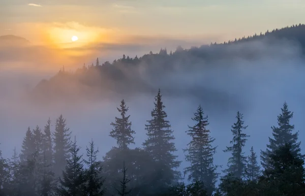 Fog over mountain range in sunrise light. — Stock Photo, Image