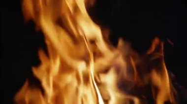 Yanan bir ağaçtan kıvılcımlar ve alevler, yavaş çekim. Yanan ateş. Ateş..