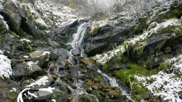 Movimento Lento. Está nevando sobre Mountain River Flowing with Stone Boulders e Stone Rapids. Rapid Splashing água em Creek. Fluxo de montanha no inverno. — Vídeo de Stock