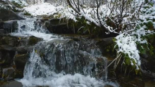 Rallentatore. La sua neve sul fiume di montagna che scorre con massi di pietra e pietre rapide. Rapida spruzzatura di acqua a Creek. Ruscello di montagna in inverno. — Video Stock