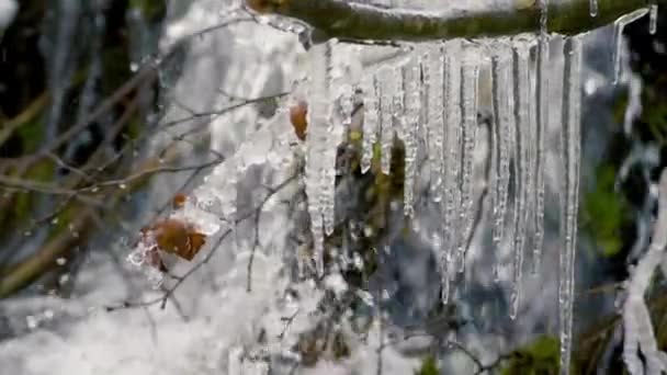 Hielo congelado en piedras y ramas de árboles al pie de una cascada en las montañas de los Cárpatos de invierno, el agua corre al fondo — Vídeos de Stock