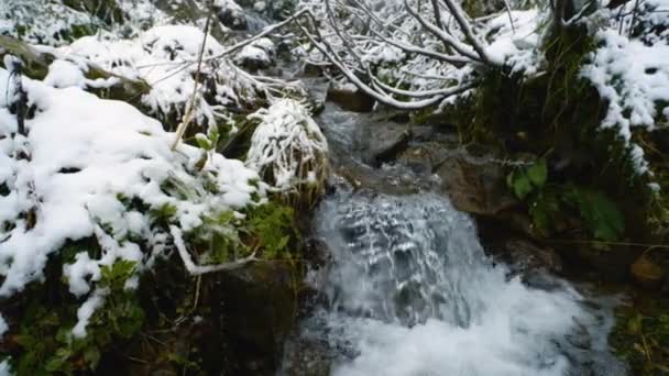 Zeitlupe. Es schneit über dem Gebirgsfluss, der von Steinbrocken und Steinschnellen übersät ist. Rasant plätscherndes Wasser im Creek. Gebirgsbach im Winter. — Stockvideo