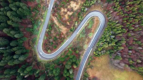 Vue aérienne du haut vers le bas du drone au-dessus de la route sinueuse entre les arbres — Video