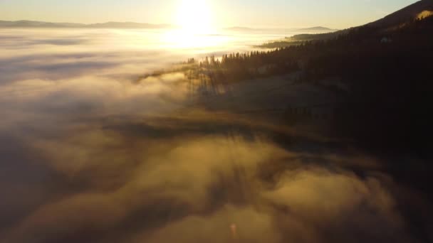 Strzelanie mgłą nad lasem w górach. Promienie słońca zmierzają w swoją stronę. — Wideo stockowe