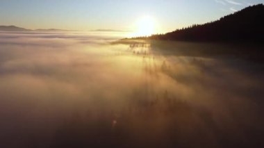 Dağlardaki ormanın üzerinden sis atıyordu. Güneş ışınları yollarına devam eder