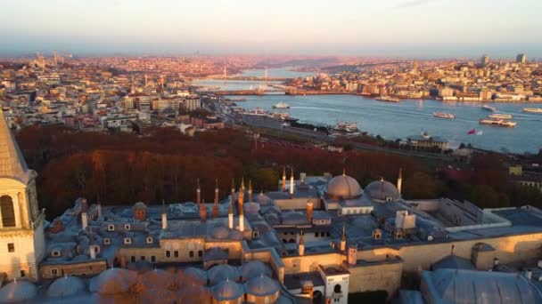 Widok z lotu ptaka Pałac Topkapi i Półwysep Historyczny w Stambule. Nagranie 4K w Turcji — Wideo stockowe